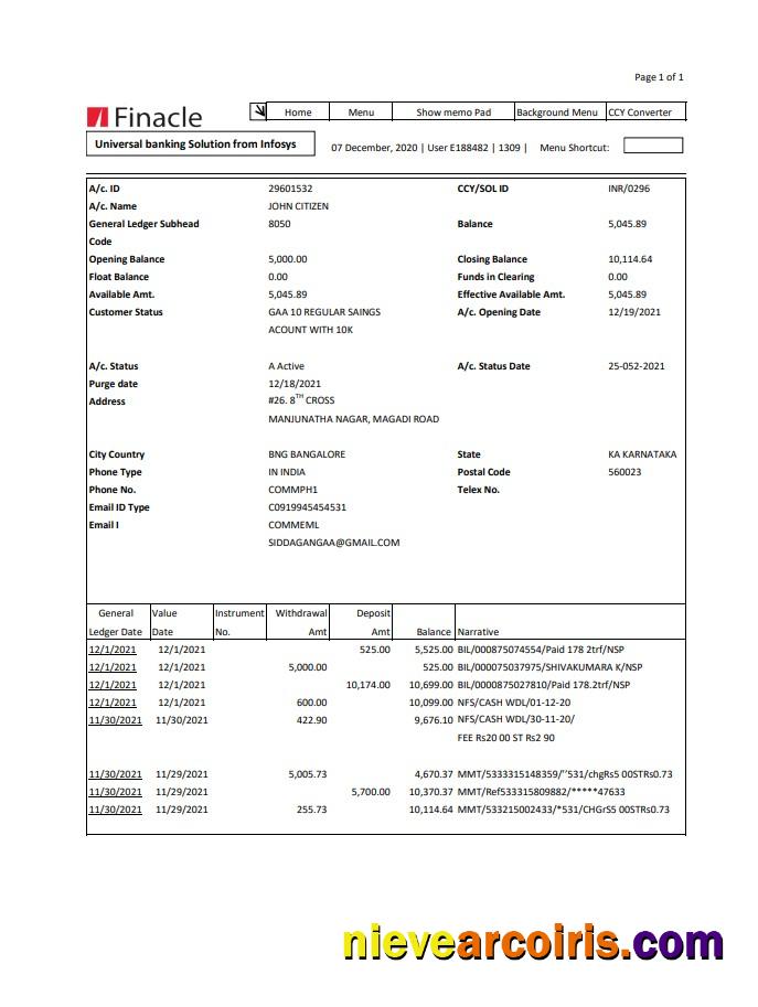 India Finacle bank statement easy to fill in Excel and PDF format